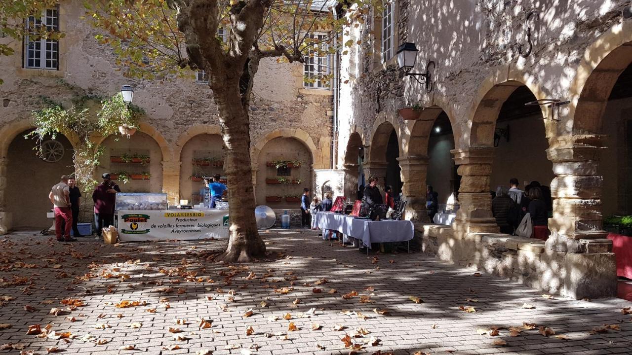 Chateau Ricard Saint-Geniez-dʼOlt Kültér fotó