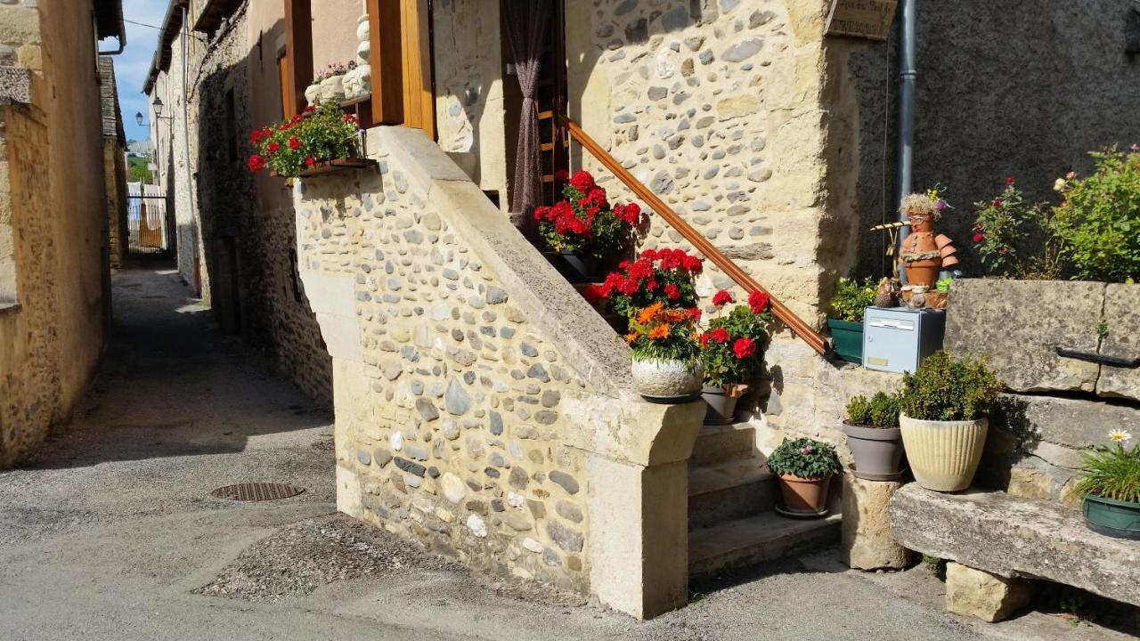Chateau Ricard Saint-Geniez-dʼOlt Kültér fotó