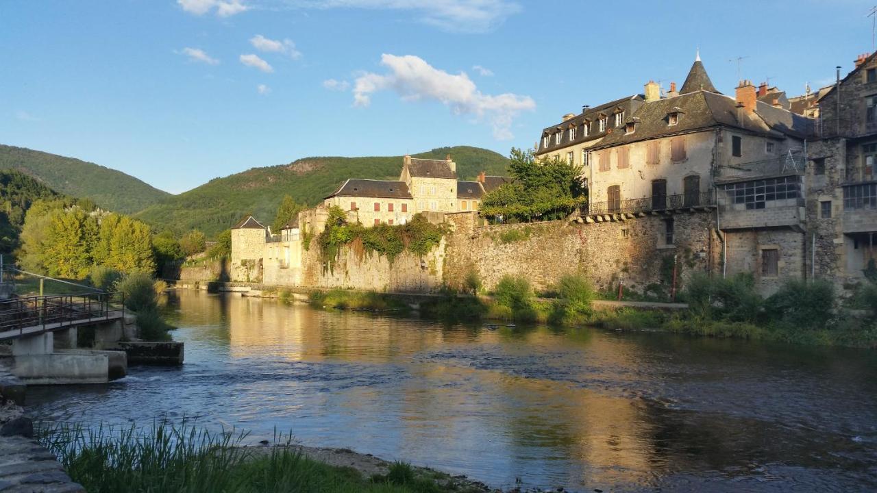 Chateau Ricard Saint-Geniez-dʼOlt Kültér fotó