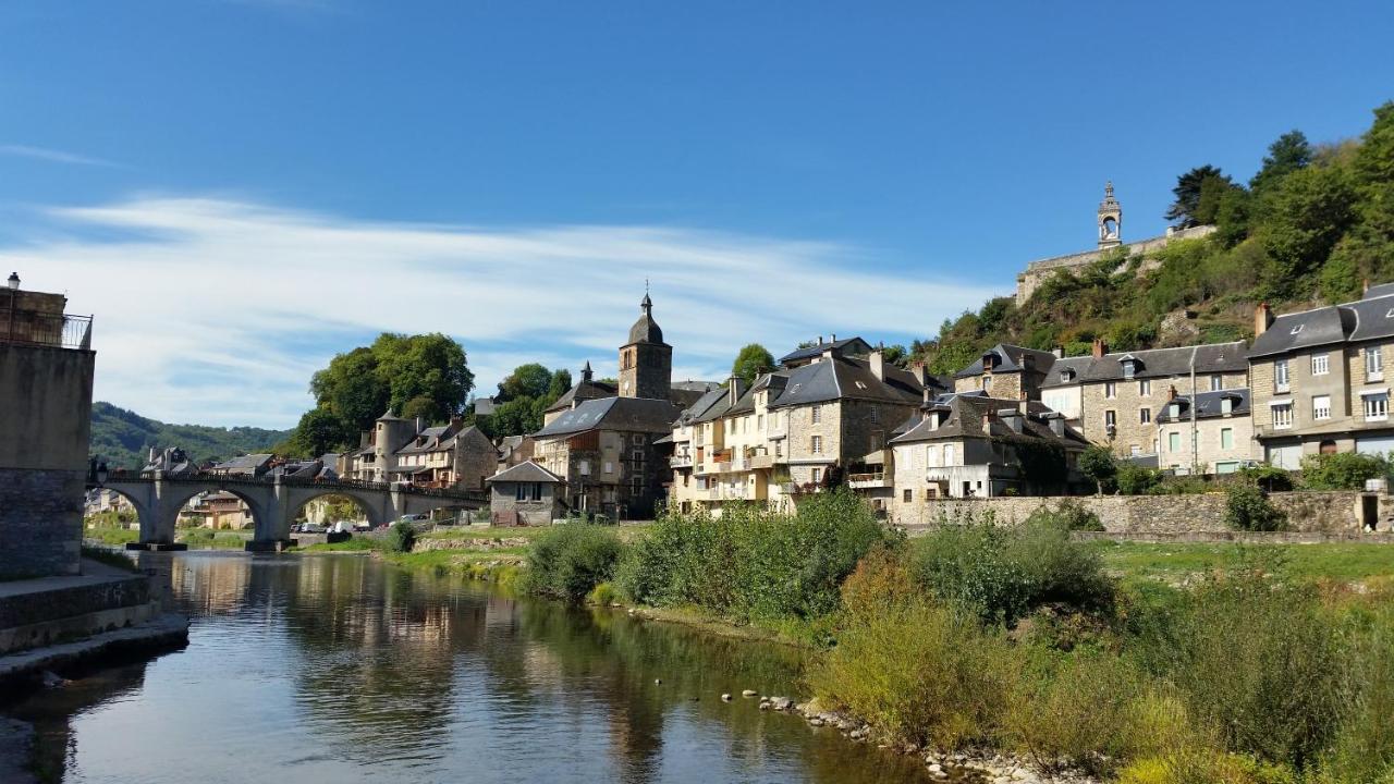 Chateau Ricard Saint-Geniez-dʼOlt Kültér fotó
