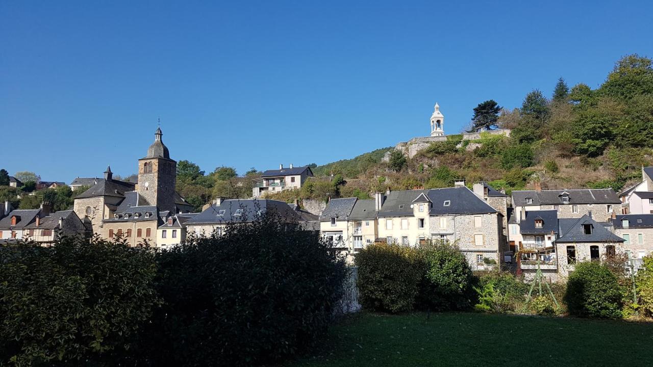 Chateau Ricard Saint-Geniez-dʼOlt Kültér fotó