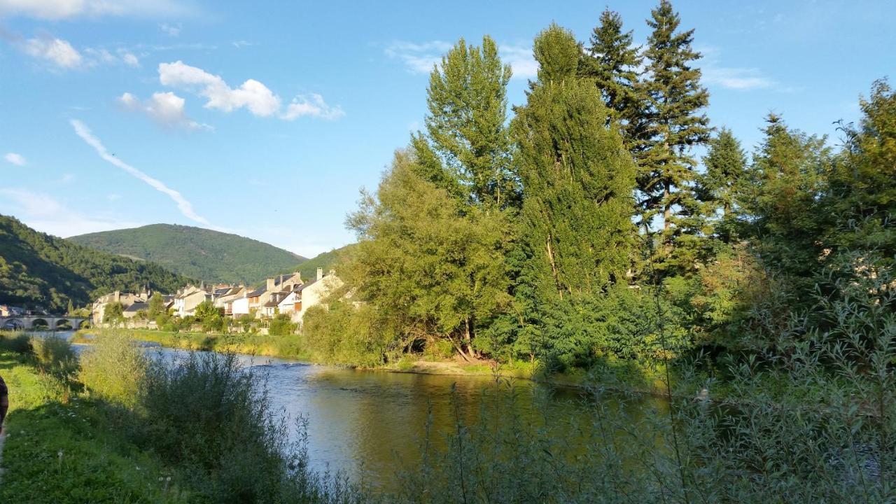 Chateau Ricard Saint-Geniez-dʼOlt Kültér fotó