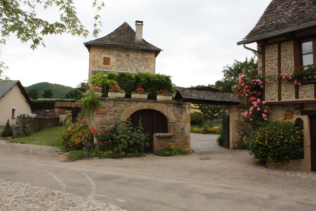 Chateau Ricard Saint-Geniez-dʼOlt Kültér fotó