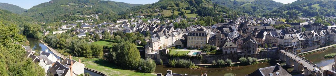 Chateau Ricard Saint-Geniez-dʼOlt Kültér fotó