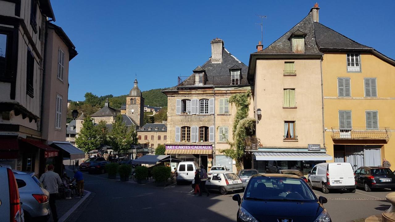 Chateau Ricard Saint-Geniez-dʼOlt Kültér fotó
